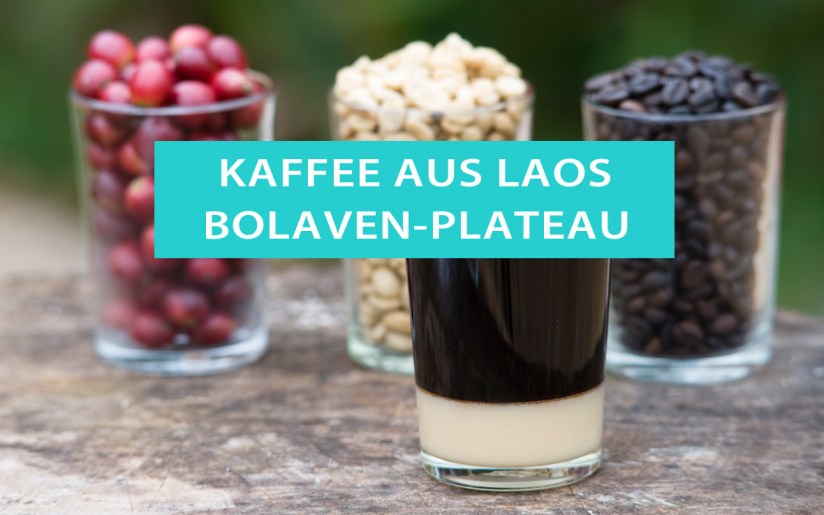 Kaffeeproduktion auf dem Bolaven-Plateau in Paksong, Laos