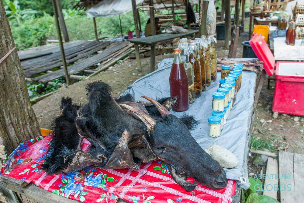 Zum Verkauf angebotenes Wildtier auf dem Morgenmarkt in Phonsavan in Laos