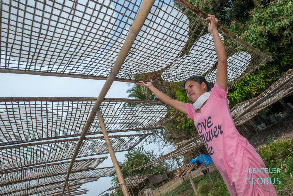 Frau trägt ein Bambusgitter mit Reispapier über dem Kopf im Dorf Ban Pho.
