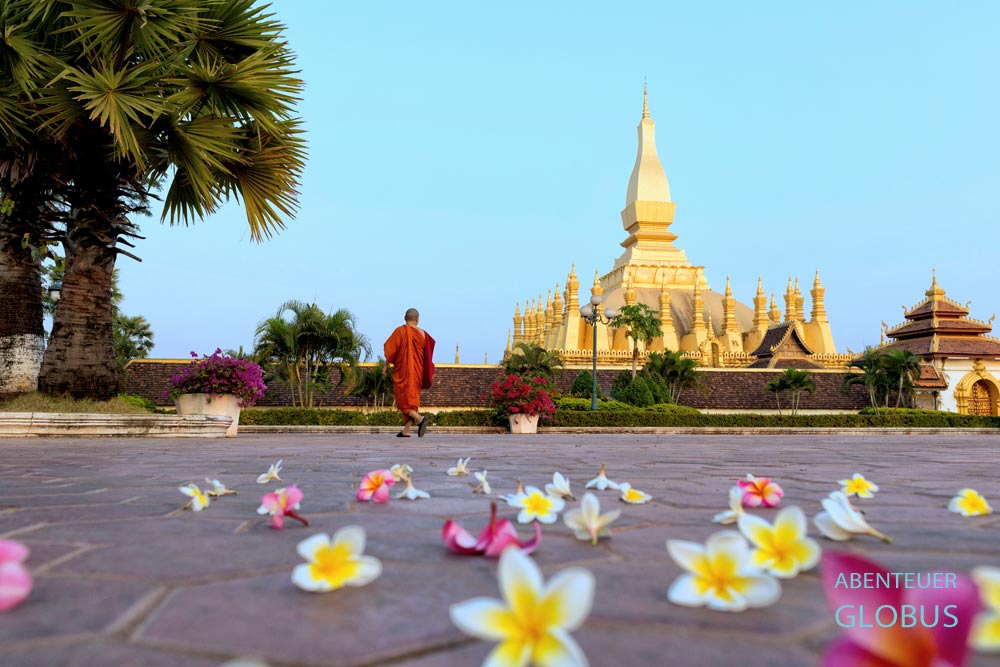 Wat That Luang in Vientiane, ein Mönch läuft vorbei, Frangipani-Blüten im Vordergrund