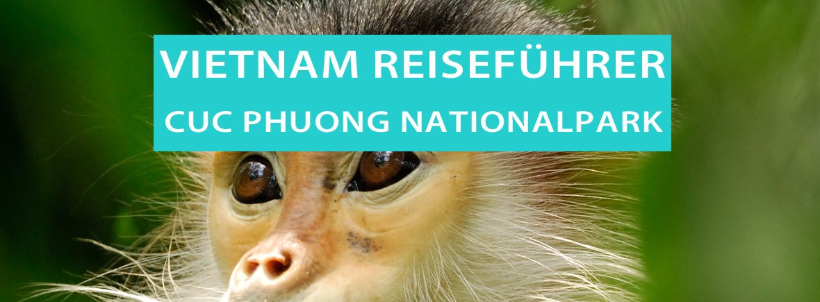 Tipps für den Cuc Phuong National Park mit den Endangered Primate Rescue Center und die Affen mit den weißen Hosen