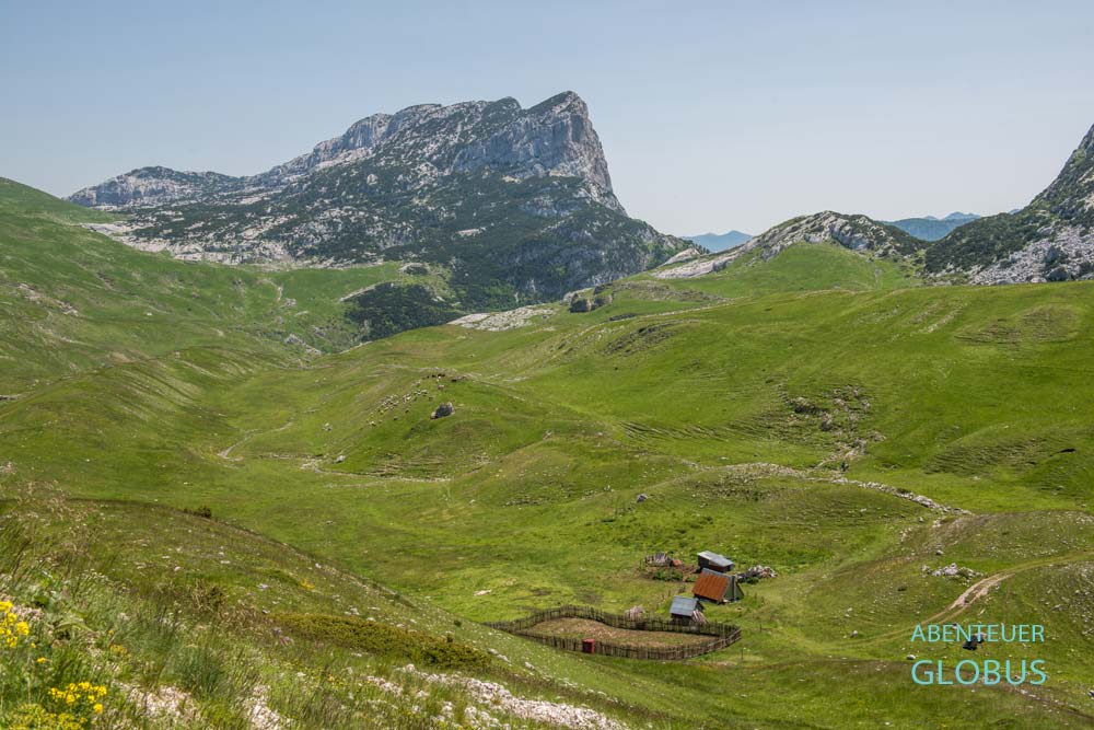 Graslandschaft zwischen Karstbergen wie den Sedlena Greda (Saddle of Gods) im Nationalpark Durmitor