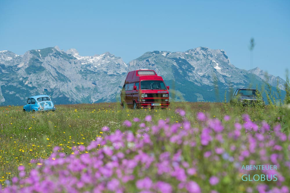 Alter blauer Fiat, roter Camper und grauer Golf auf einer blühenden Almwiese im Naturpark Piva, Montenegro