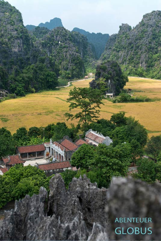 Thai-Vi-Tempel zwischen Karstfelsen und gelben Reisfeldern, von einem Berg aus gesehen