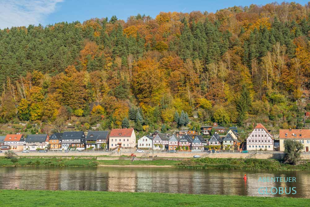 Fachwerkhäuser an der Elbe im Ortsteil Postelwitz von Bad Schandau, dahinter Herbstwald