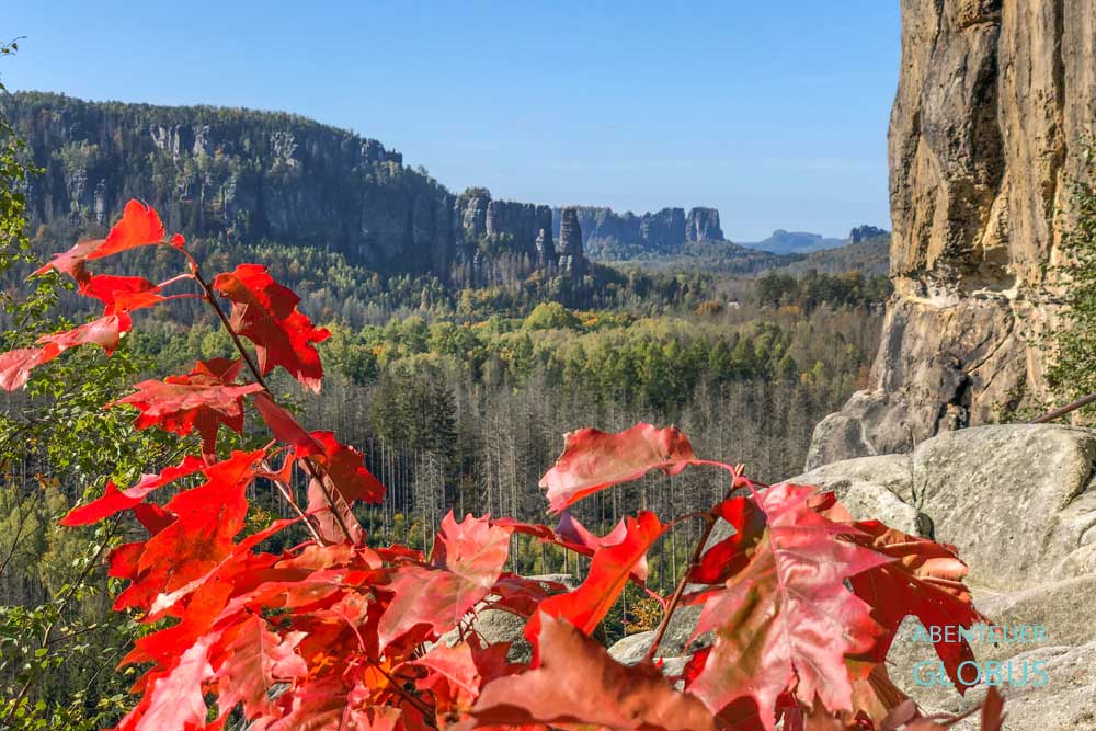 Rotes Herbstlaub im Vordergrund und Blick auf die Affensteine und Schrammsteine vom Aussichtspunkt unterhalb vom Schneiderloch am Kuhstall im Elbsandsteingebirge