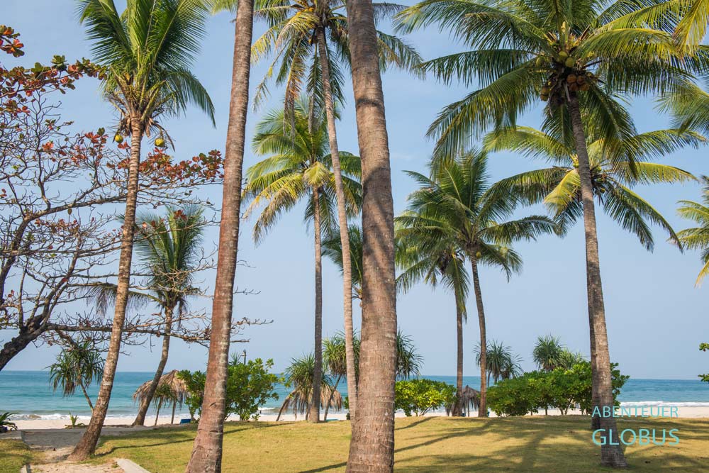 Haad Tien Beach mit Palmen, gesehen vom Haadtien Beach Resort auf Koh Tao, Thailand