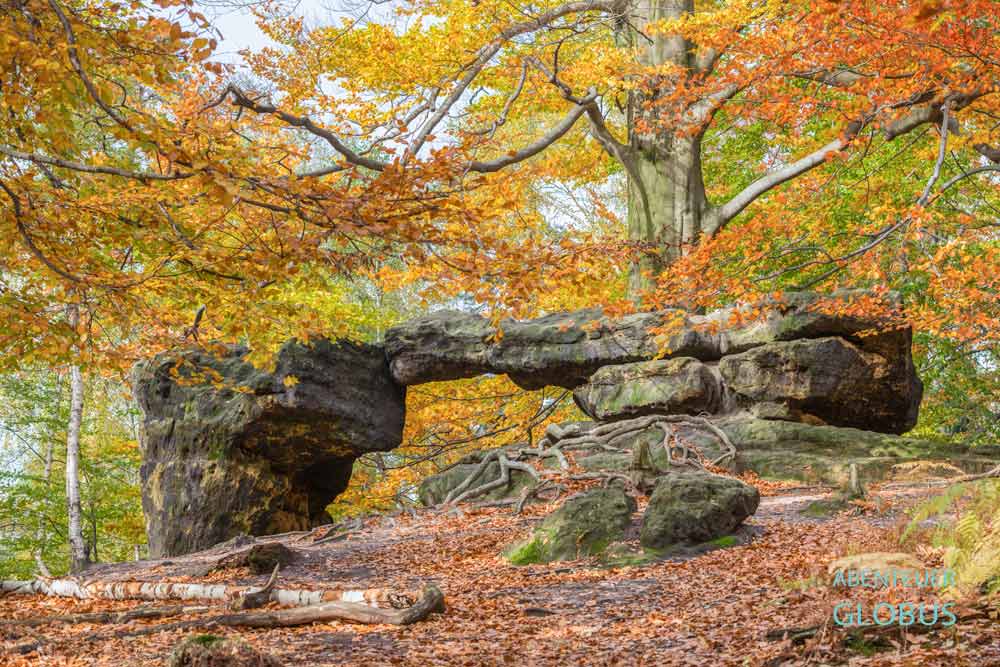 Kleines Prebischtor im Herbstwald in in den Affensteinen im Nationalpark Sächische Schweiz