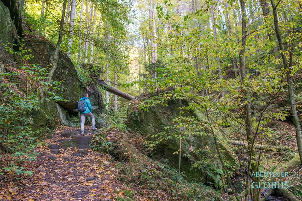 Wanderin im Schindergraben vom Hohnsteiner Wald bei Hohnstein