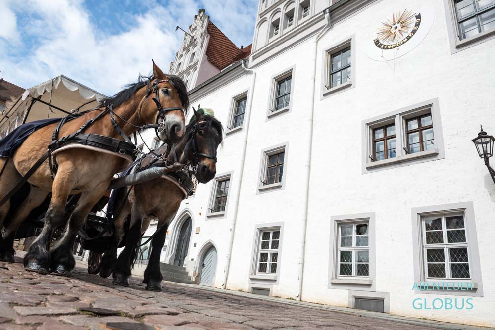 Pferdekutsche am Rathaus auf dem Markt in der Altstadt von Meißen