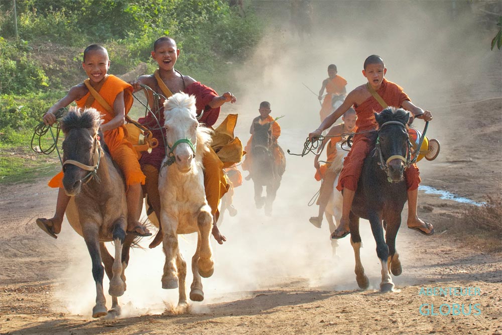 Mönche und Novizen des Klosters Das goldene Pferd reiten im Galopp im Goldenen Dreieck, Thailand.