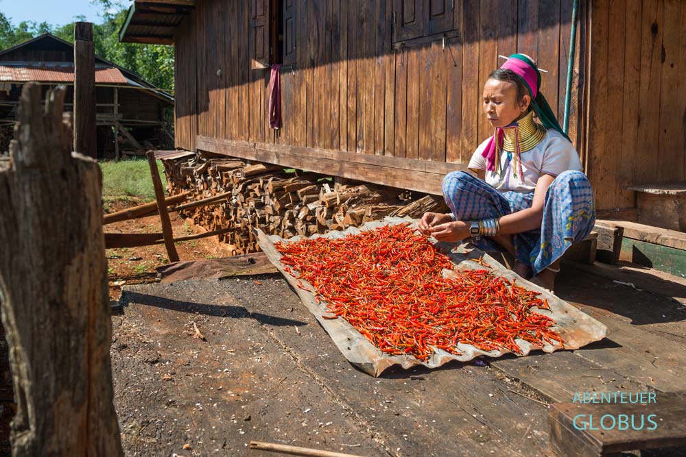 Padaung-Frau beim Sortieren von Chilischoten auf einer Hausterrasse in Panpet, Myanmar.
