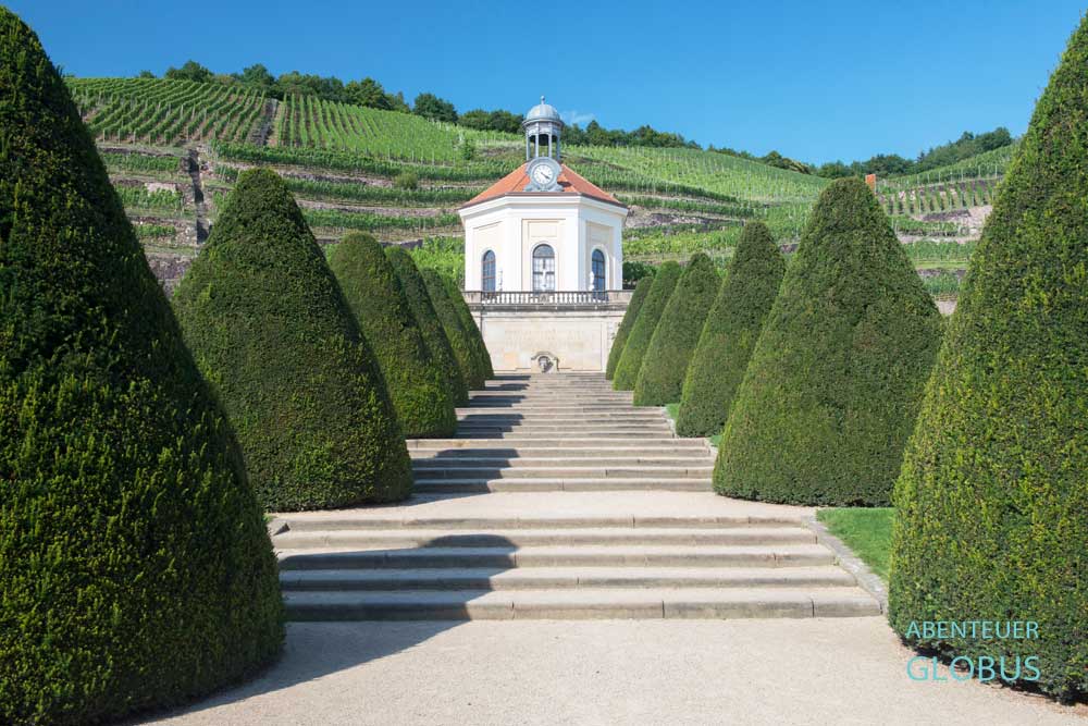 Pavillon und Baumallee im Schloss und Weingut Wackerbarth, Weinhänge im Hintergrund