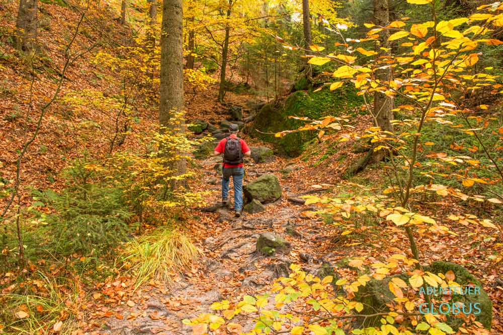 Mann wandert in der Eulentilke zum Aussichtspunkt Carolafelsen im Nationalpark Sächsische Schweiz.