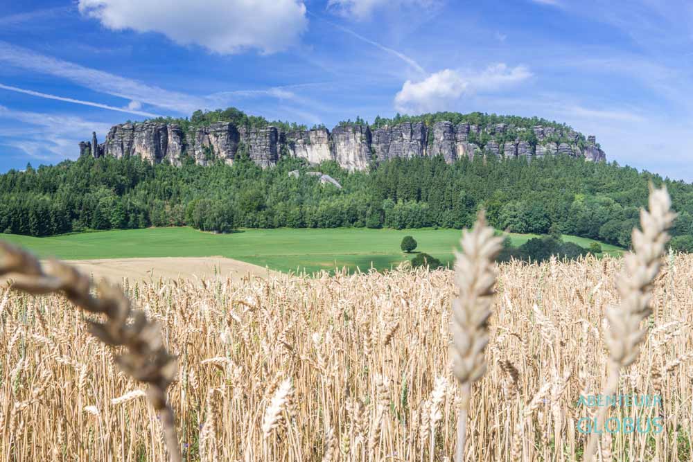 Getreidefeld und Wiese im Vordergrund, dahinter der Tafelberg Pfaffenstein mit der Felsnadel Barbarine.
