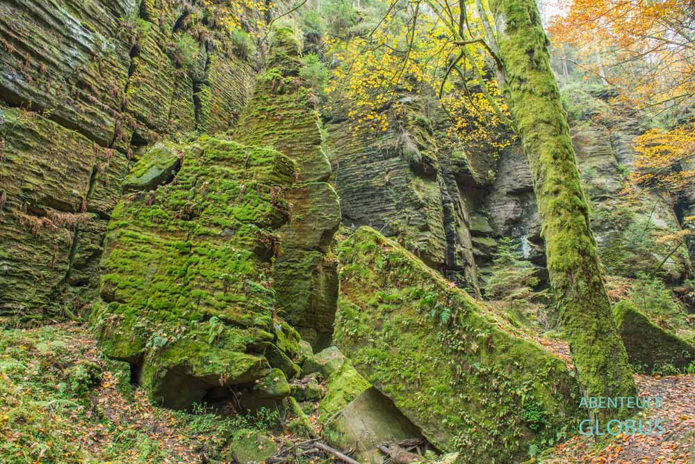 Bemooste Felsen im Uttewalder Grund bei Wehlen, Sächsische Schweiz