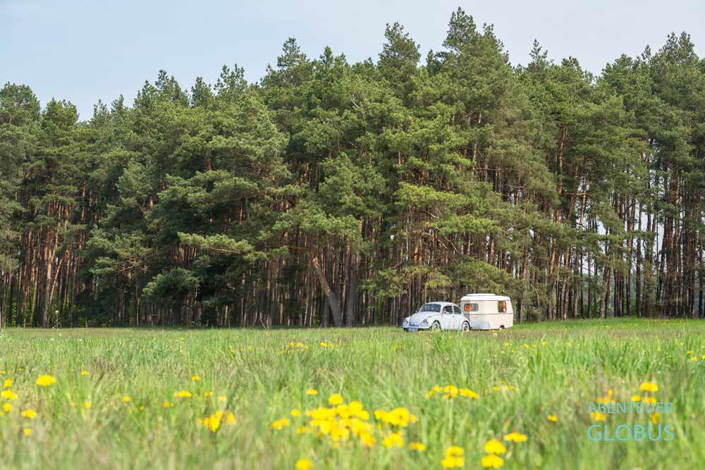 Oldtimer-Gespann mit grauem VW Käfer und Wohnwagen Puck auf einer Wiese bei Meißen in Sachsen