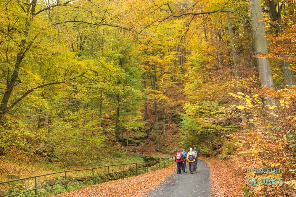 Wanderer im herbstlichen Wehlener Grund im Nationalpark Sächsische Schweiz.