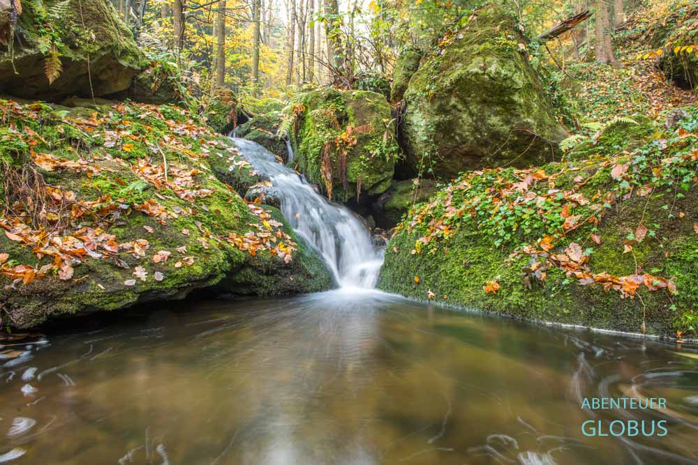 Kleiner Wasserfall und Blätter auf bemoosten Felsen nahe Uttewalder Grund bei Wehlen