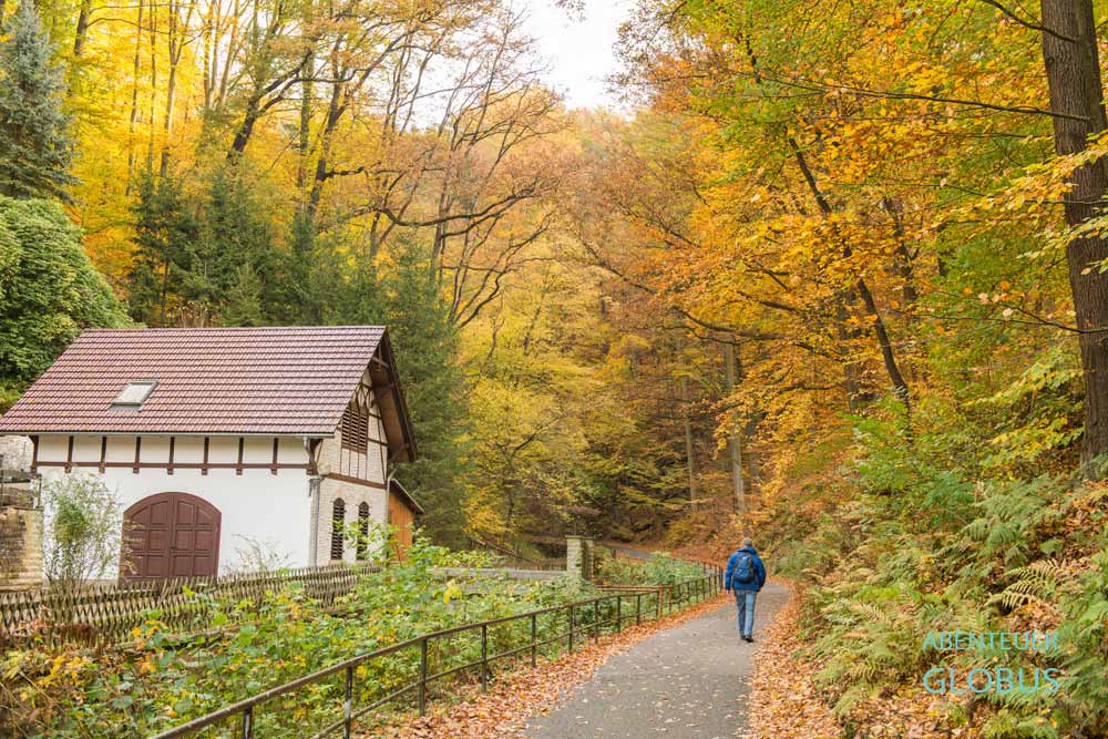 Wanderer im Wehlener Grund bei Wehlen in der Sächsischen Schweiz
