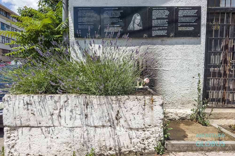 Grab von Safikada (Safikadin mezar) mit Lavendel und einer darüberliegenden Steintafel