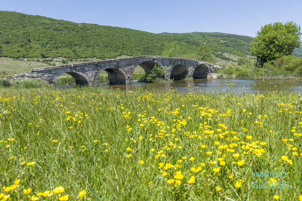 Römische Brücke über den Fluss Suica, im Vordergrund eine Wiese mit gelben Blumen, nahe dem Ort Suica