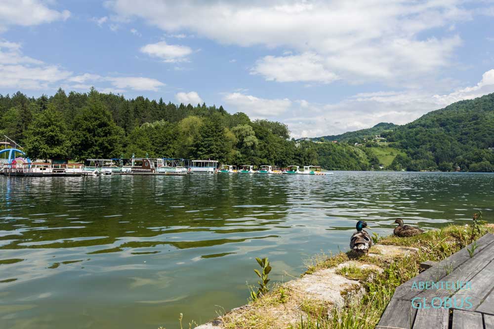 Enten und Elektroboote am Großen Pliva See in Jajce