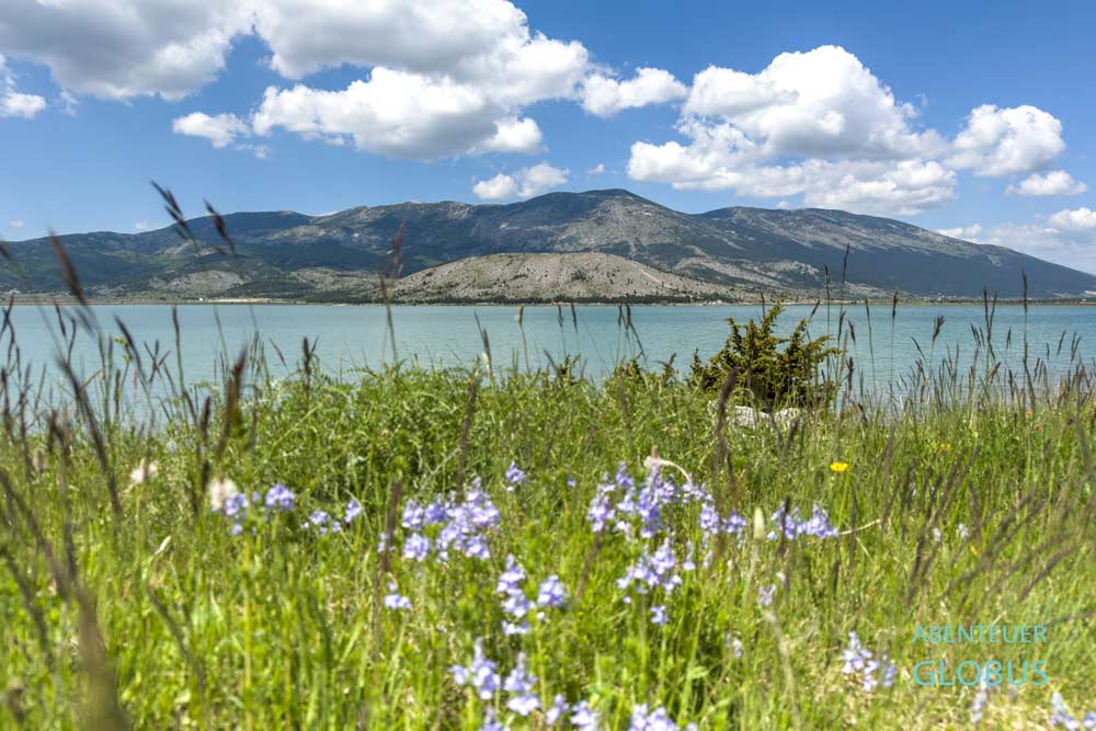 Lila Blumen auf einer Wiese vor dem Blidinje-See mit dem Berg Sveti Bernard und dem Vran-Gebirge im Hintergrund