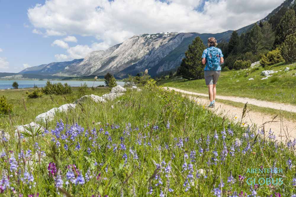 Lila Blumen auf einer Wiese und Wanderin auf einem Weg, im Hintergrund das Cvrsnica-Gebirge
im Naturpark Blidinje