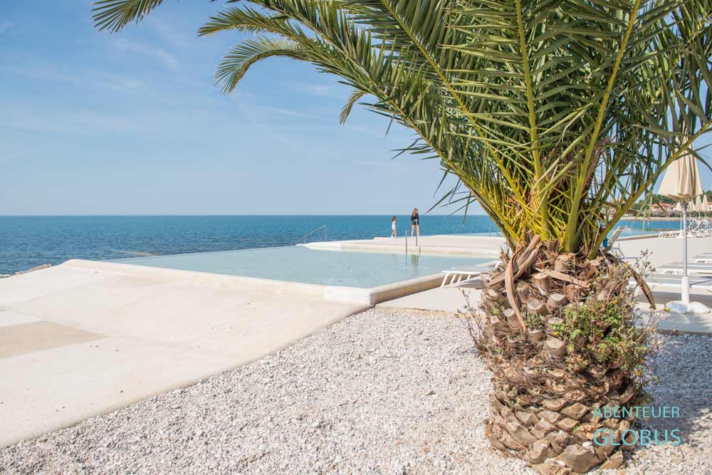 Palme im Vordergrund und zwei Kinder am Pool Punto Mare am Plaza Aminess Maestral in Novigrad, Istrien