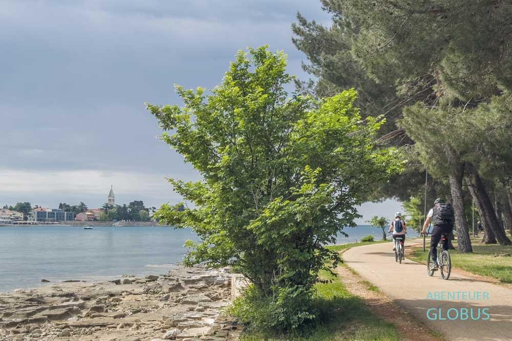 Zwei Radfahrer auf dem Weg am Strand Karpinjan und Blick zur Altstadt von Novigrad in Istrien
