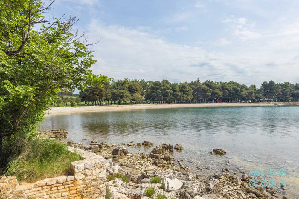 Strandsichel Karpinjan in Novigrad in Kroatien