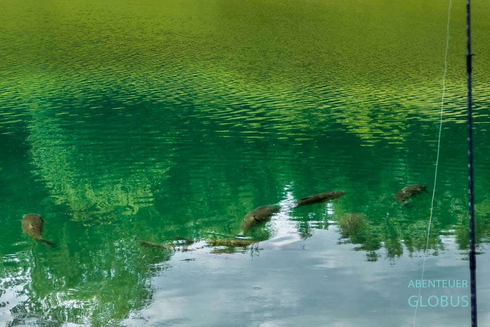Angel und Fische im Rama-See in der Gemeinde Prozor-Rama