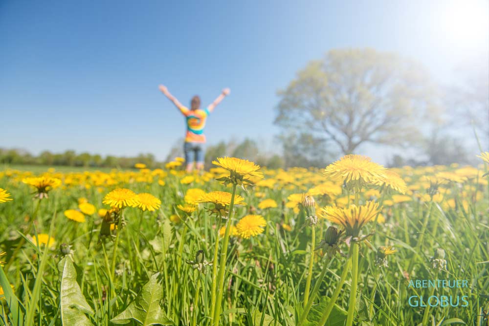 Annett vom Reiseblog Abenteuerglobus in einer Blumenwiese mit Löwenzahn