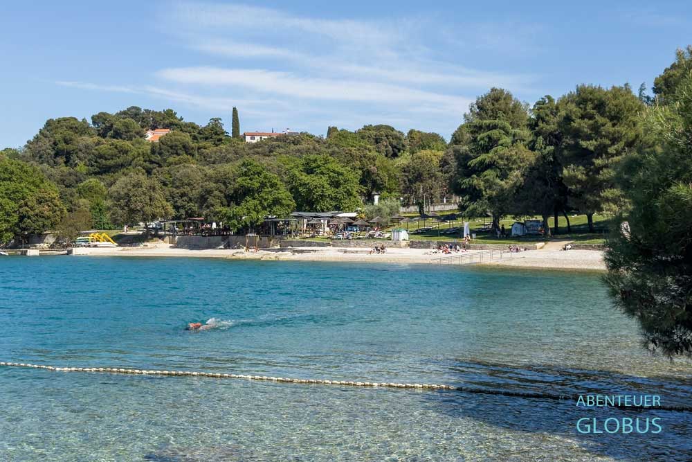 Schwimmer in der Adria und Stadtstrand (Gradska Plaza) mit Bäumen in Vrsar, Kroatien
