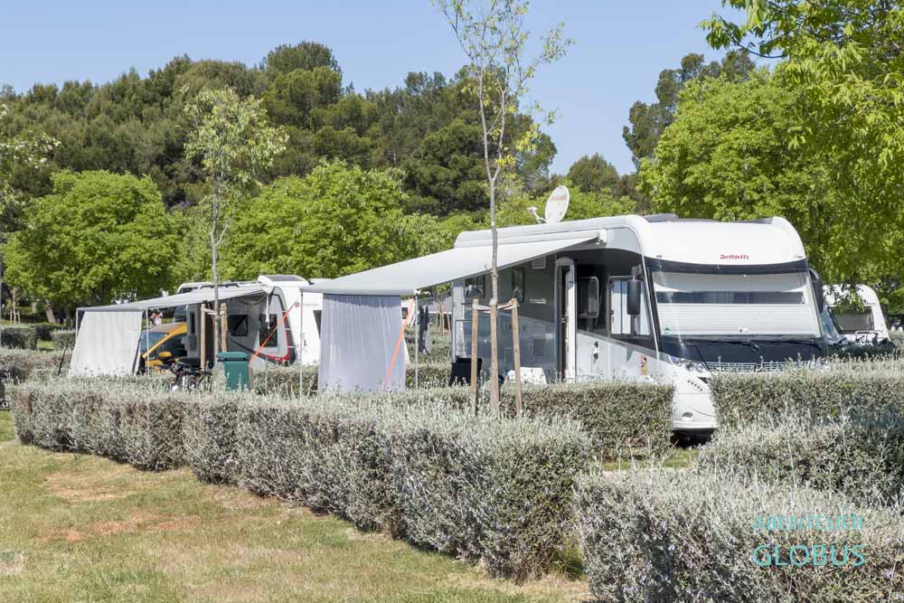 Zwei weiße Wohnmobile auf Stellplätzen mit Hecken auf dem Campingplatz Camping Valkanela Vrsar 