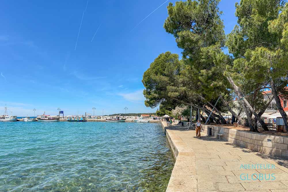 Uferpromenade mit Kiefern am Hafen von Fažana in Istrien, Kroatien