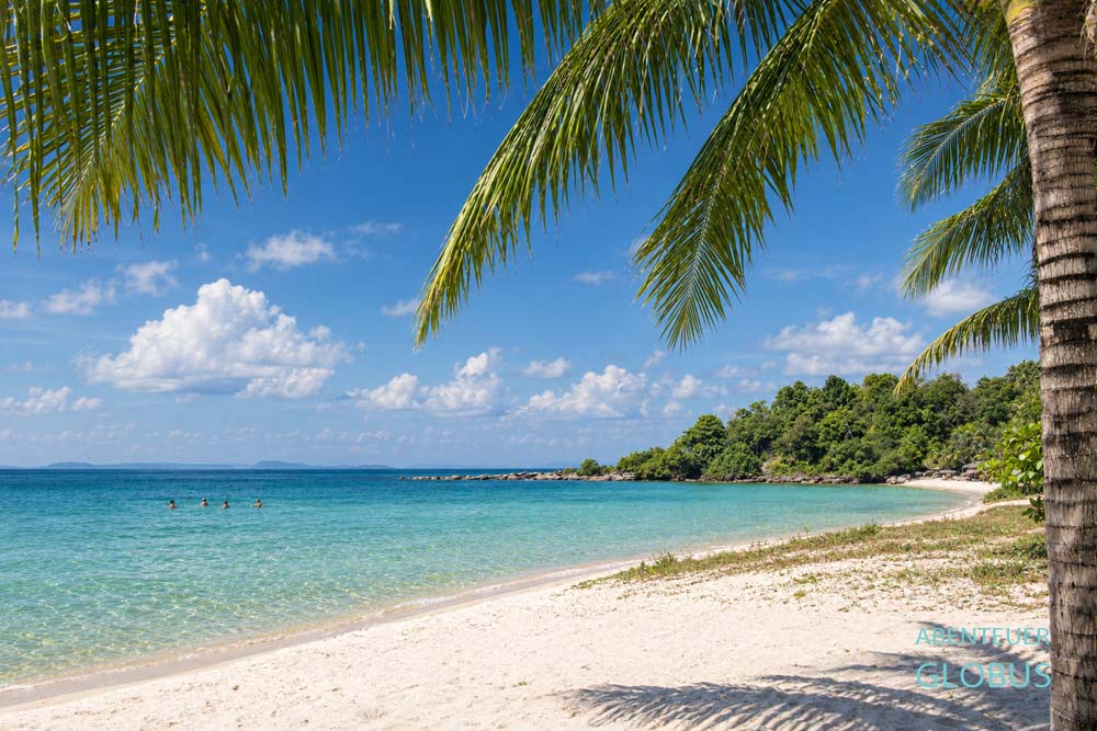 Palme am Strand auf Koh Chang in Thailand