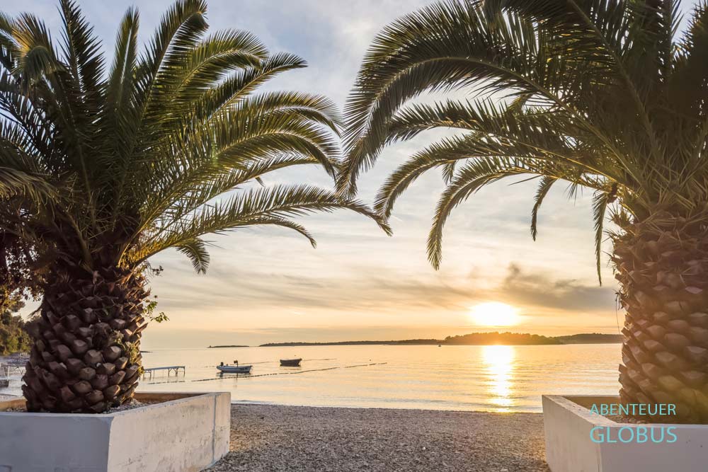 Zwei Palmen, dazwischen Sonnenuntergang über dem Meer, gesehen vom Campingplatz Brioni Sunny Camping Valamar zwischen Pula und Fažana in Kroatien