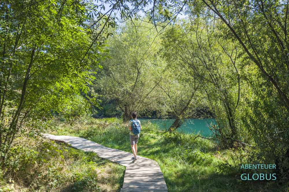 Wanderin auf dem Weg Slunjcica Setnica zwischen Bäumen am türkisfarbenen Fluss Slunjcica in Slunj, Kroatien